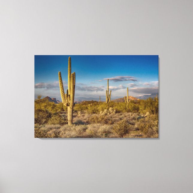 Toile Deserts | Superstition Mountains, Arizona (Recto)