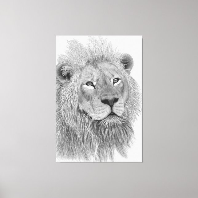 Toile Dessin au crayon de lion africain masculin (Recto)