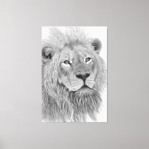 Toile Dessin au crayon d'un lion africain mâle