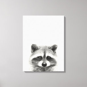 Toile Dessin au crayon Raccoon