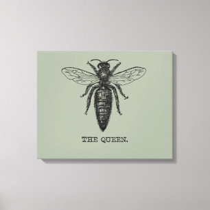 Toile Dessin classique de l'illustration de Queen Bee