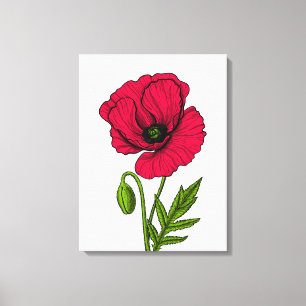 Toile Dessin de coquelicot rouge