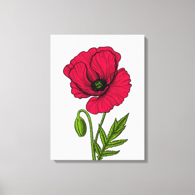 Toile Dessin de coquelicot rouge (Recto)