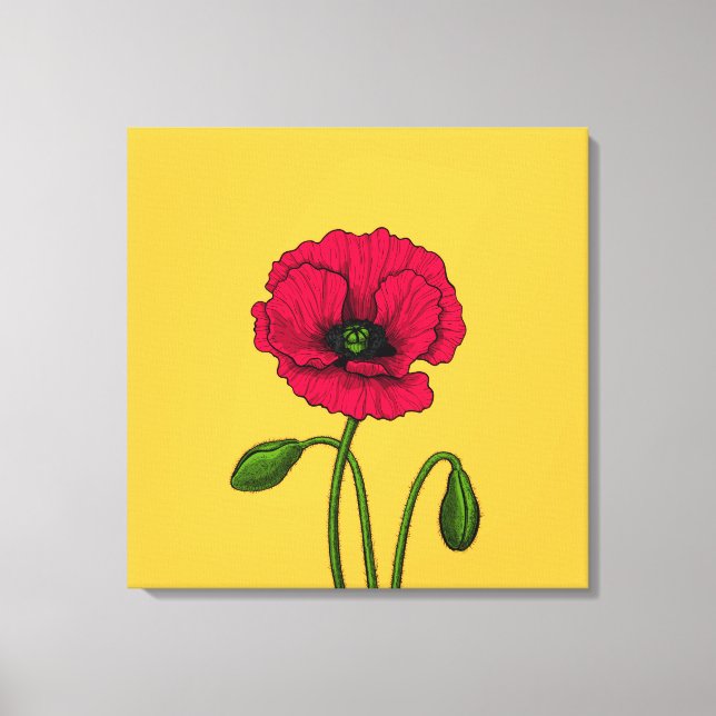 Toile Dessin de coquelicot rouge (Recto)