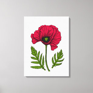 Toile Dessin de coquelicot rouge 3