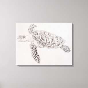 Toile Dessin de la tortue de mer côtière