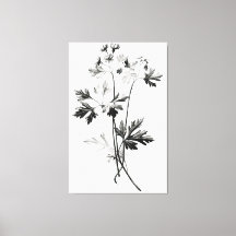 Dessin de ligne Feuille de Cilantro simpliste