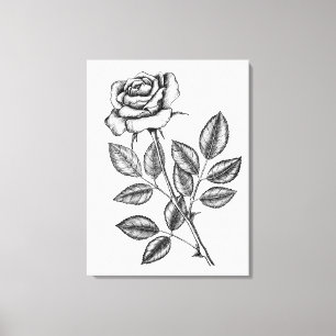 Toile Dessin de rose 2