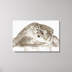 Toile Dessin de tortue marine verte