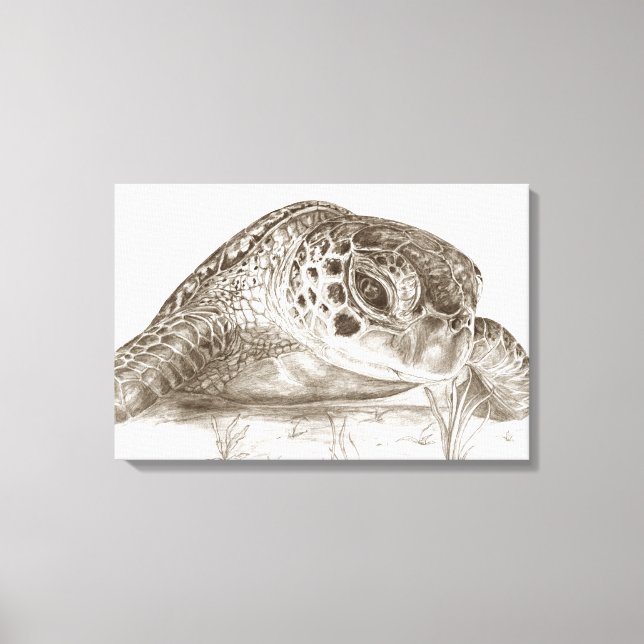 Toile Dessin de tortue marine verte (Recto)