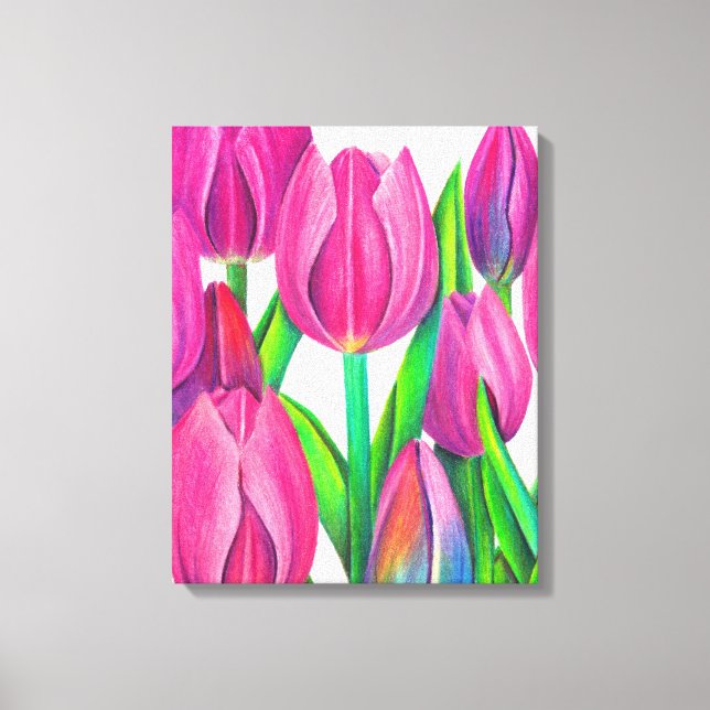 Toile Dessin de tulipes roses botaniques (Recto)