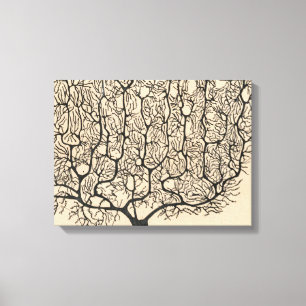 Toile Dessin Neuron De Santiago Ramón Y Cajal