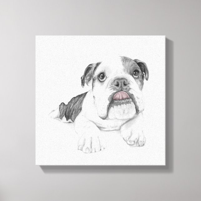 Toile Dessin Sassy Bulldog Puppy (Recto)