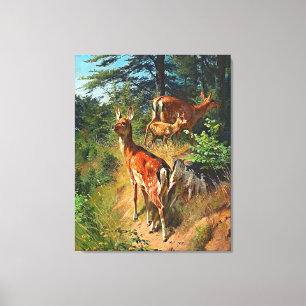 Toile Deux Cerfs Et Mignonnes Fawn Dans La Forêt