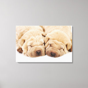 Toile Deux chiots Shar Pei dorment