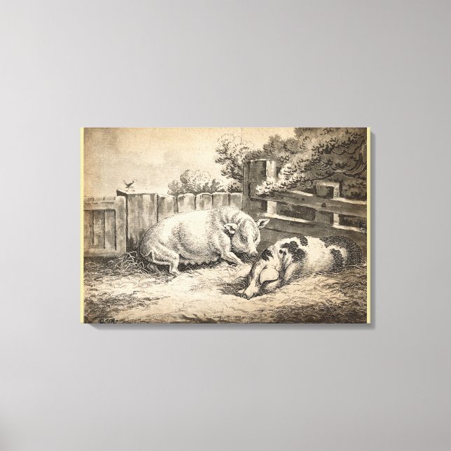 Toile Deux cochons couchés dans la paille dans un stylo  (Recto)