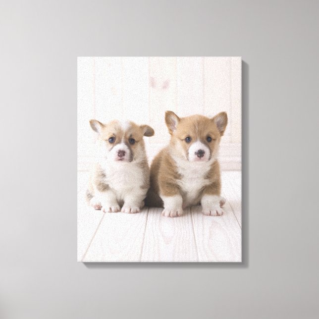 Toile Deux Corgi gallois assis (Recto)