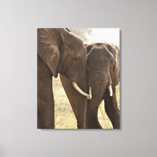 Toile Deux éléphants de Bush d'Africain (Loxodonta