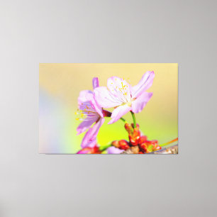 Toile Deux fleurs de sakura courageuses et fond coloré