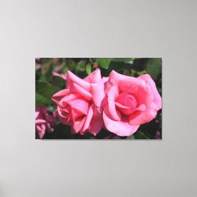 Toile deux fleurs roses roses chaudes. (Recto)