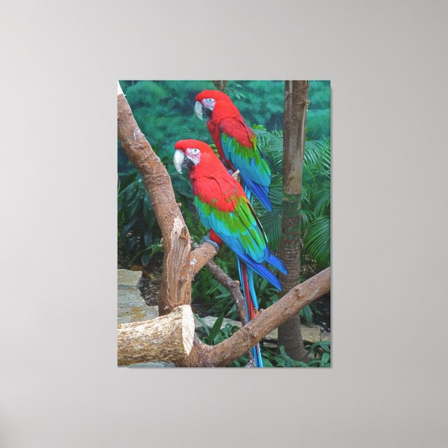 Toile Deux Macaws à ailes rouge et verte Ara Chloropteru (Recto)