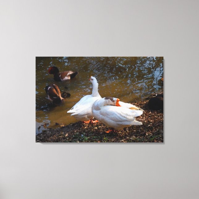 Toile deux oies blanches et deux canards mandarins (Recto)