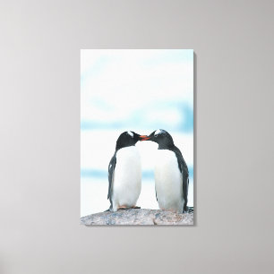 Toile Deux pingouins touchant des becs