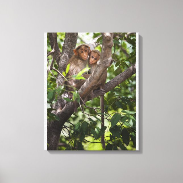 Toile Deux Singes Dans Un Arbre (Recto)