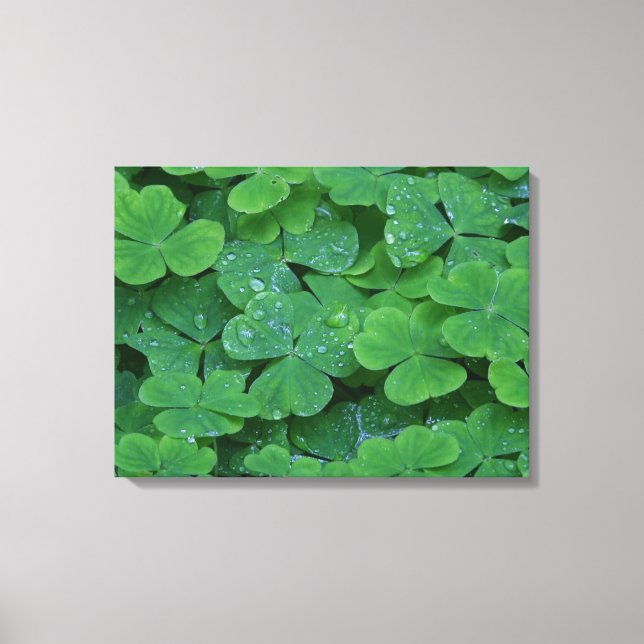 Toile Dew Dranted Clochers Macro Photo Wall Art (Recto)