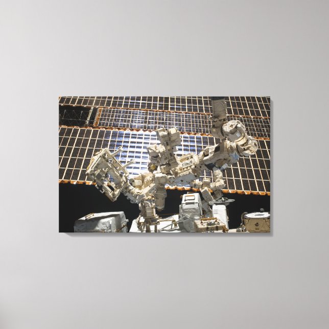 Toile Dextre (Recto)