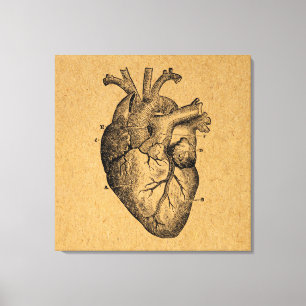 Toile Diagramme cardiaque vintage Illustration Art Vinta