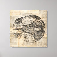 Diagramme de cerveau antique Art ancien