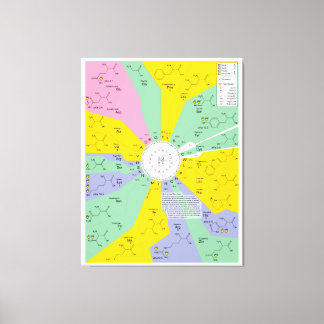 Toile Diagramme de code génétique montrant les résidus d