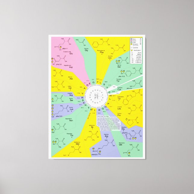 Toile Diagramme de code génétique montrant les résidus d (Recto)