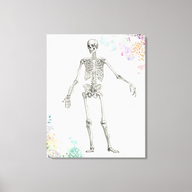 Toile diagramme de fleur squelette de l'anatomie médical (Recto)