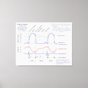 Toile Diagramme de Wiggers