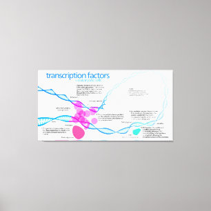 Toile Diagramme des facteurs de transcription génétique