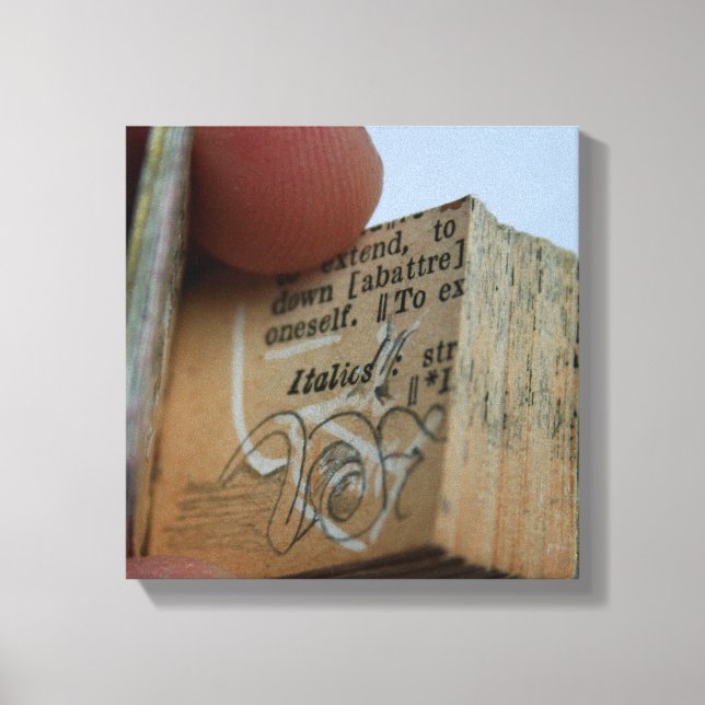 Toile DicofrAngle Livre miniature coupé Dessin Canvas (Recto)