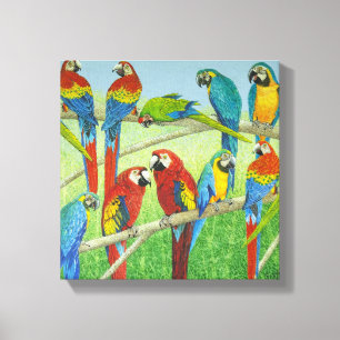 Toile Diffusion de l'information