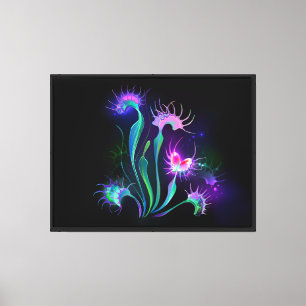 Toile Dionaea piège lumineux