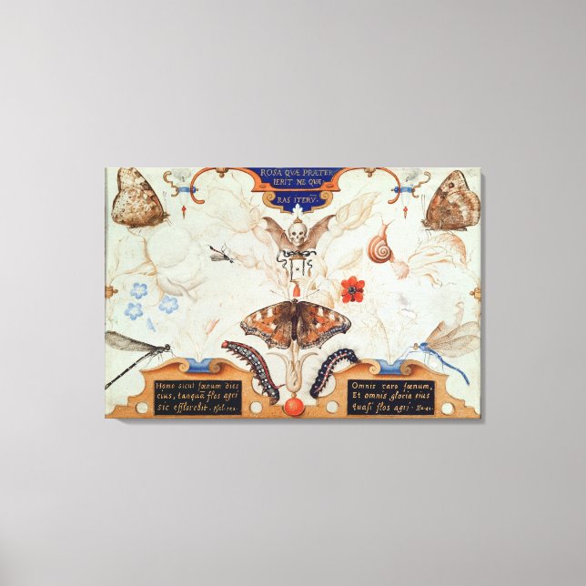 Toile Diptyque avec fleurs et insectes, 1591 (Recto)