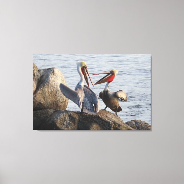 Toile Discussions pélicanes - ou était-ce une plaisanter (Recto)