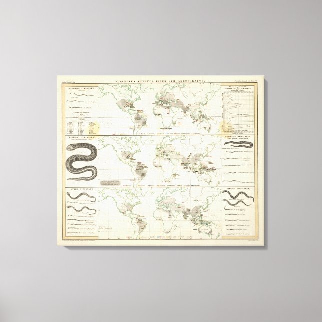 Toile Distributions de serpents (Recto)