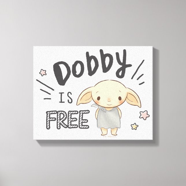 Toile Dobby Gratuit (Recto)