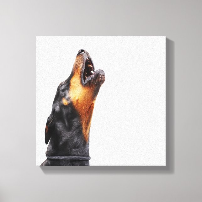 Toile Doberman hurle, gros plan (Recto)
