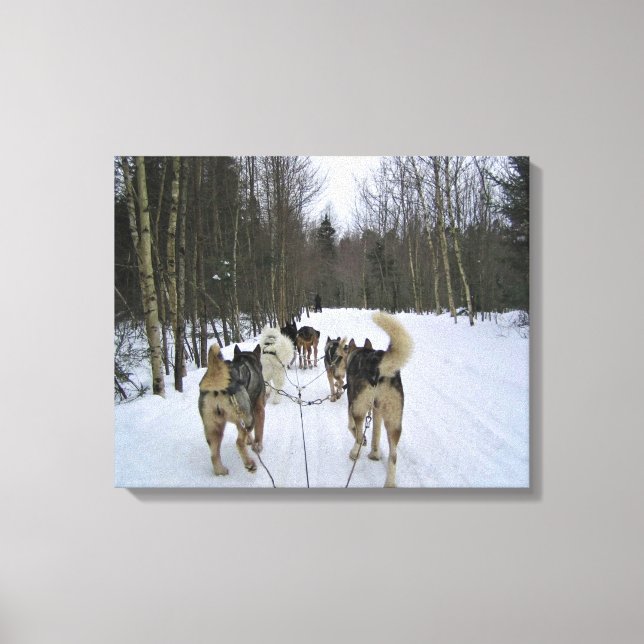 Toile Dog Sledding à Québec, Canada (Recto)