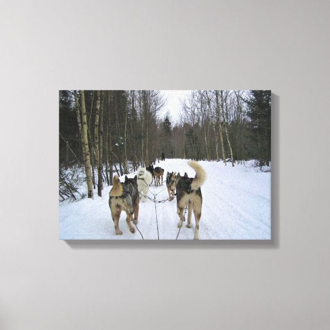 Toile Dog Sledding à Québec, Canada (Recto)