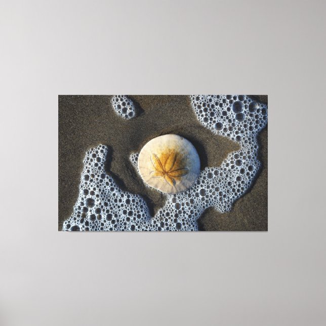 Toile Dollar de sable dans le Surf Beach Canvas Art Phot (Recto)
