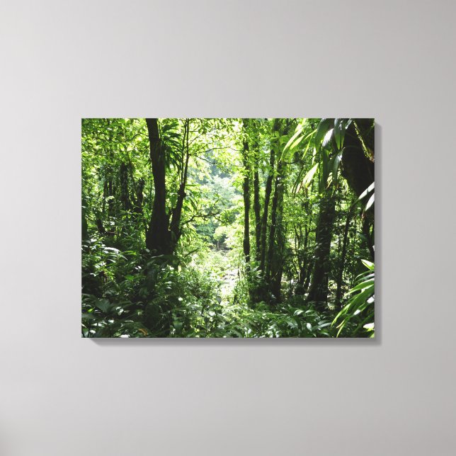 Toile Dominicain Forêt de pluie II Vert tropical (Recto)