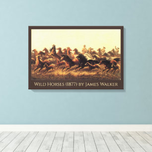 Toile Domptage de chevaux sauvages par James Walker